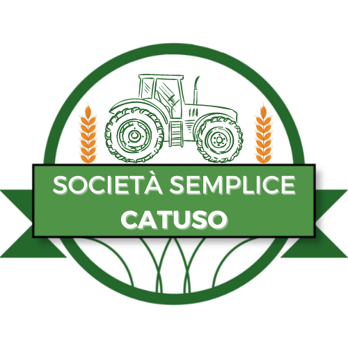 Società Semplice Catuso : 