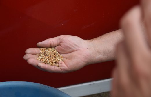 Convegno - Campo Dimostrativo, Polizzi Generosa 19 Giugno 2025