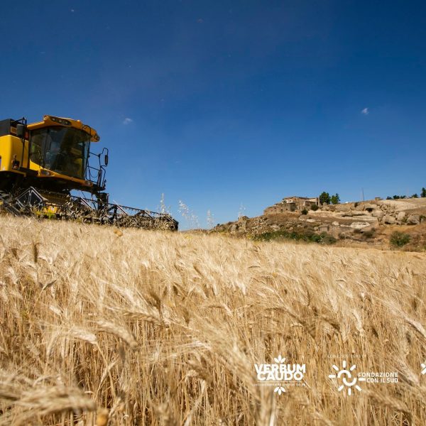 106206574_1832244386916573_631942673338636202_n