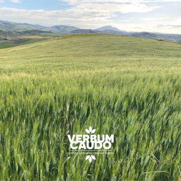 200740496_2156599294481079_3993899083552635676_n