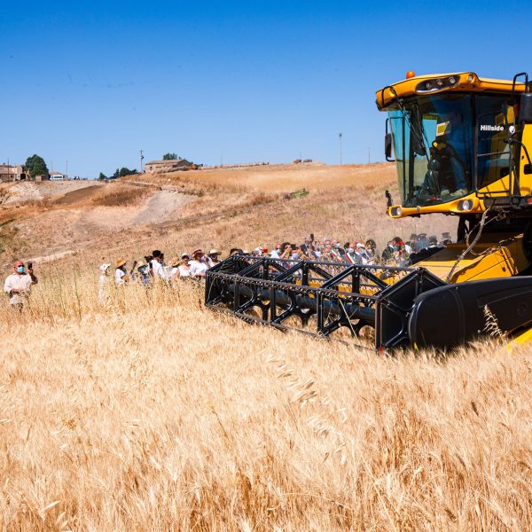 212972405_2174031636071178_8268758455590752919_n